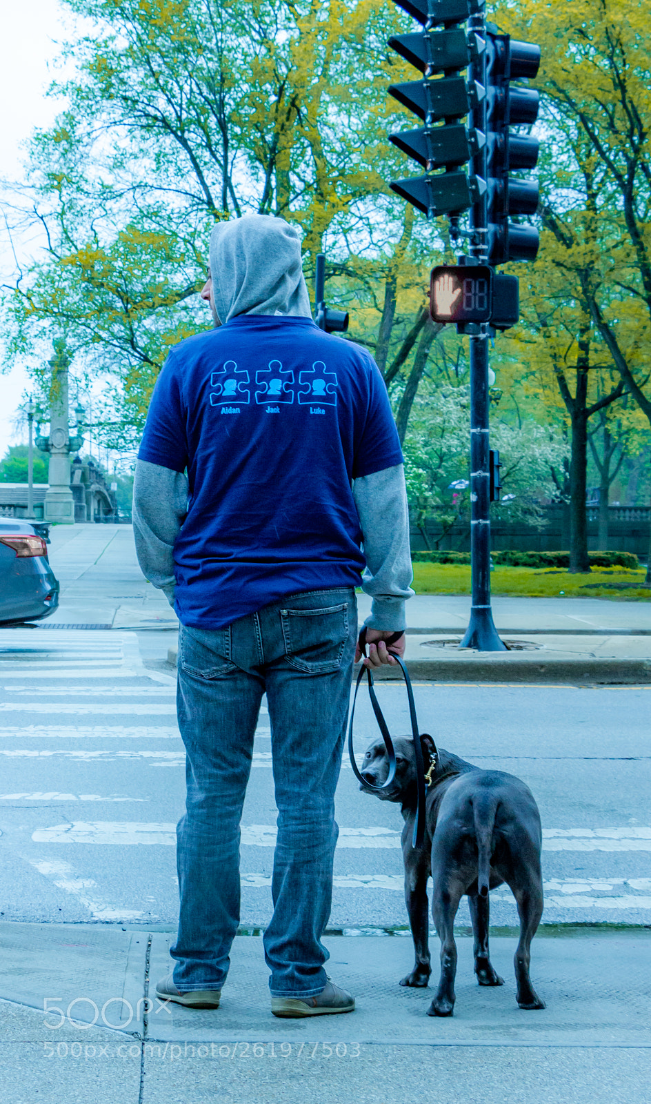 Canon EOS 550D (EOS Rebel T2i / EOS Kiss X4) sample photo. Dog walking in chicago photography