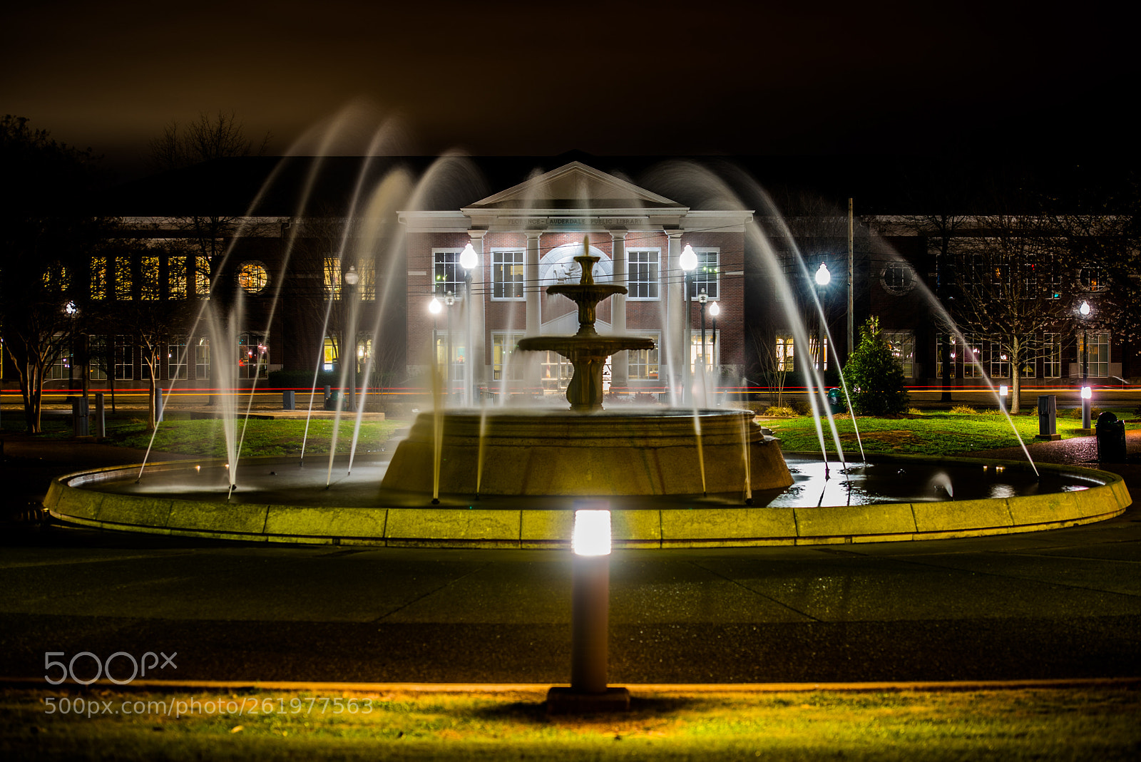 Nikon D750 sample photo. Wilson park photography