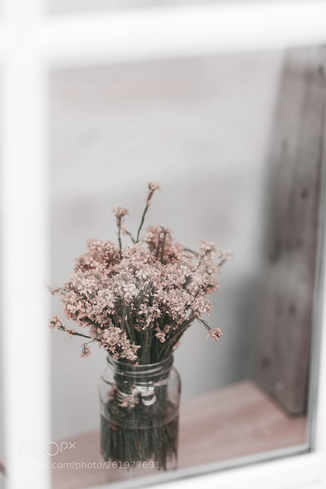 Canon EOS 5D Mark IV sample photo. Pink flowers window photography