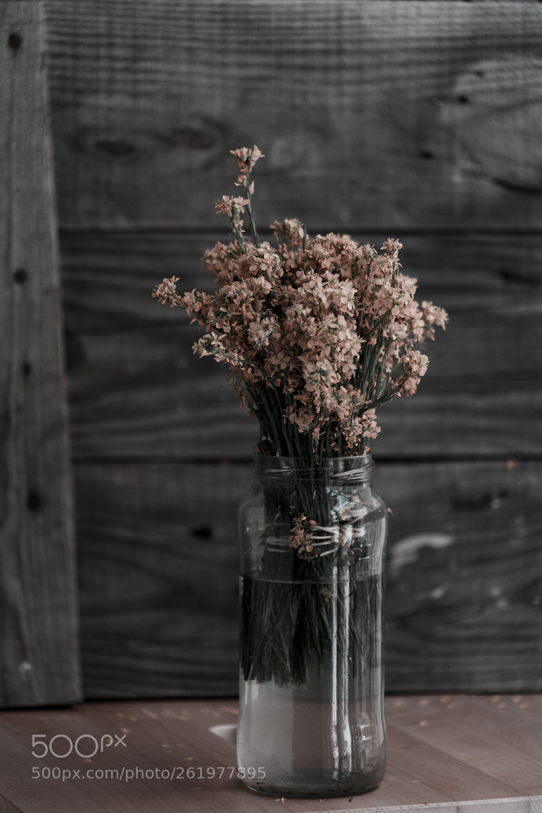 Canon EOS 5D Mark IV sample photo. Pink flowers2 photography