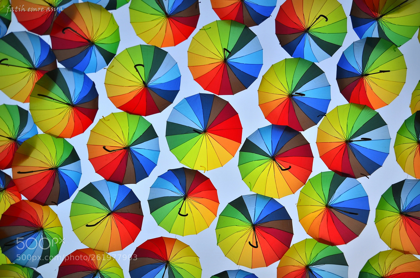 Nikon D7000 sample photo. Colors photography