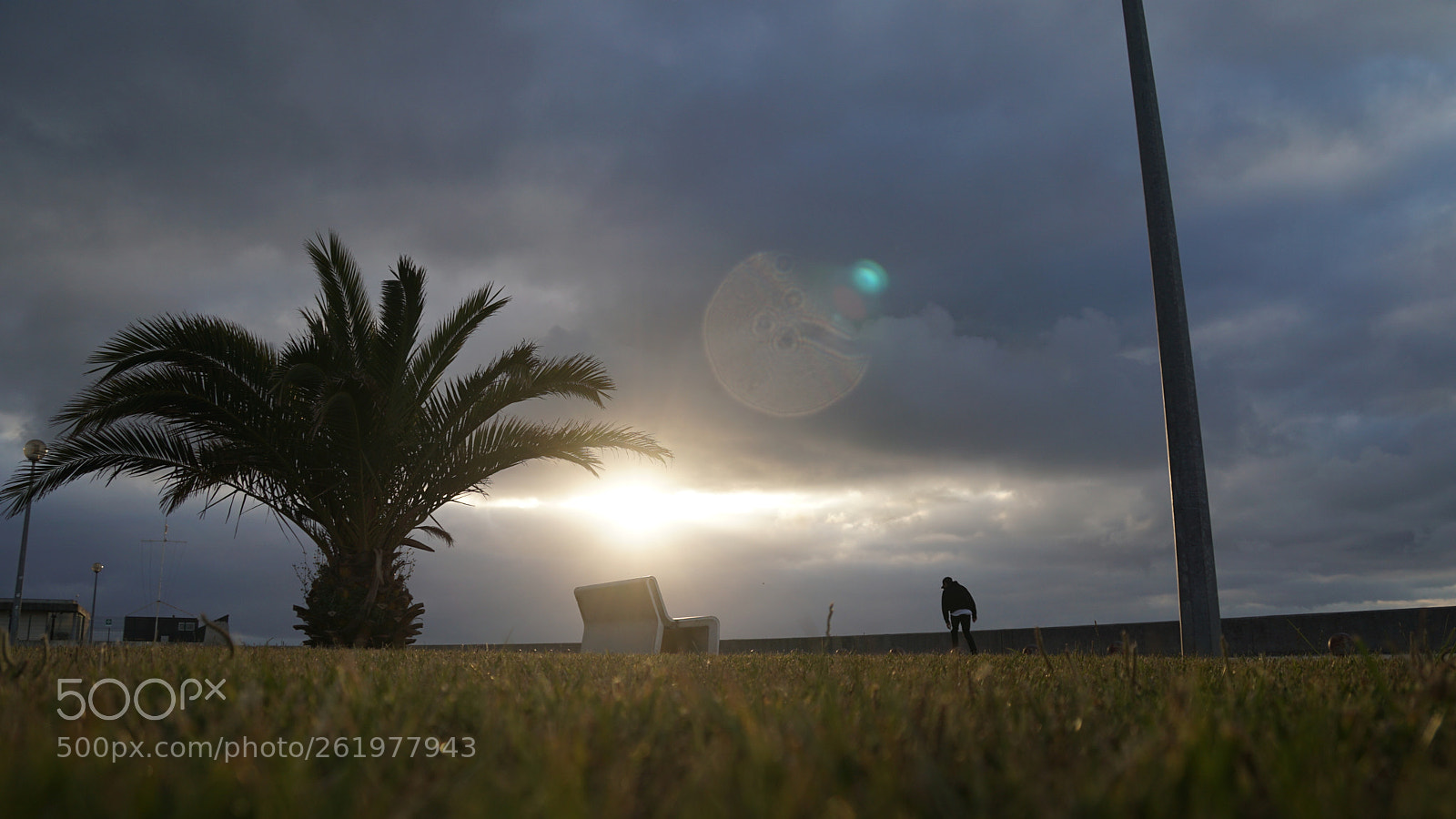 Sony a6000 sample photo. Dsc photography