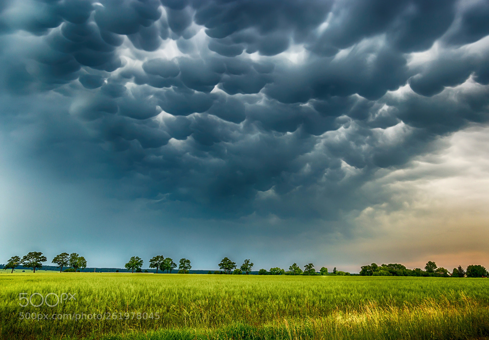 Canon EOS 6D sample photo. Mammatus clouds fill the photography