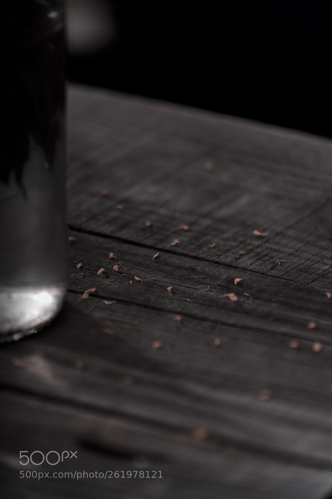 Canon EOS 5D Mark IV sample photo. Little petals photography