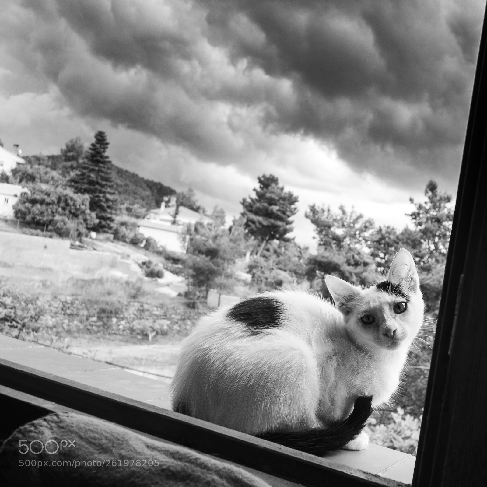 Fujifilm X-T2 sample photo. Untitled photography