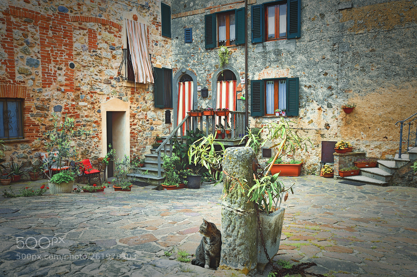 Nikon D7500 sample photo. Casal di pari. photography