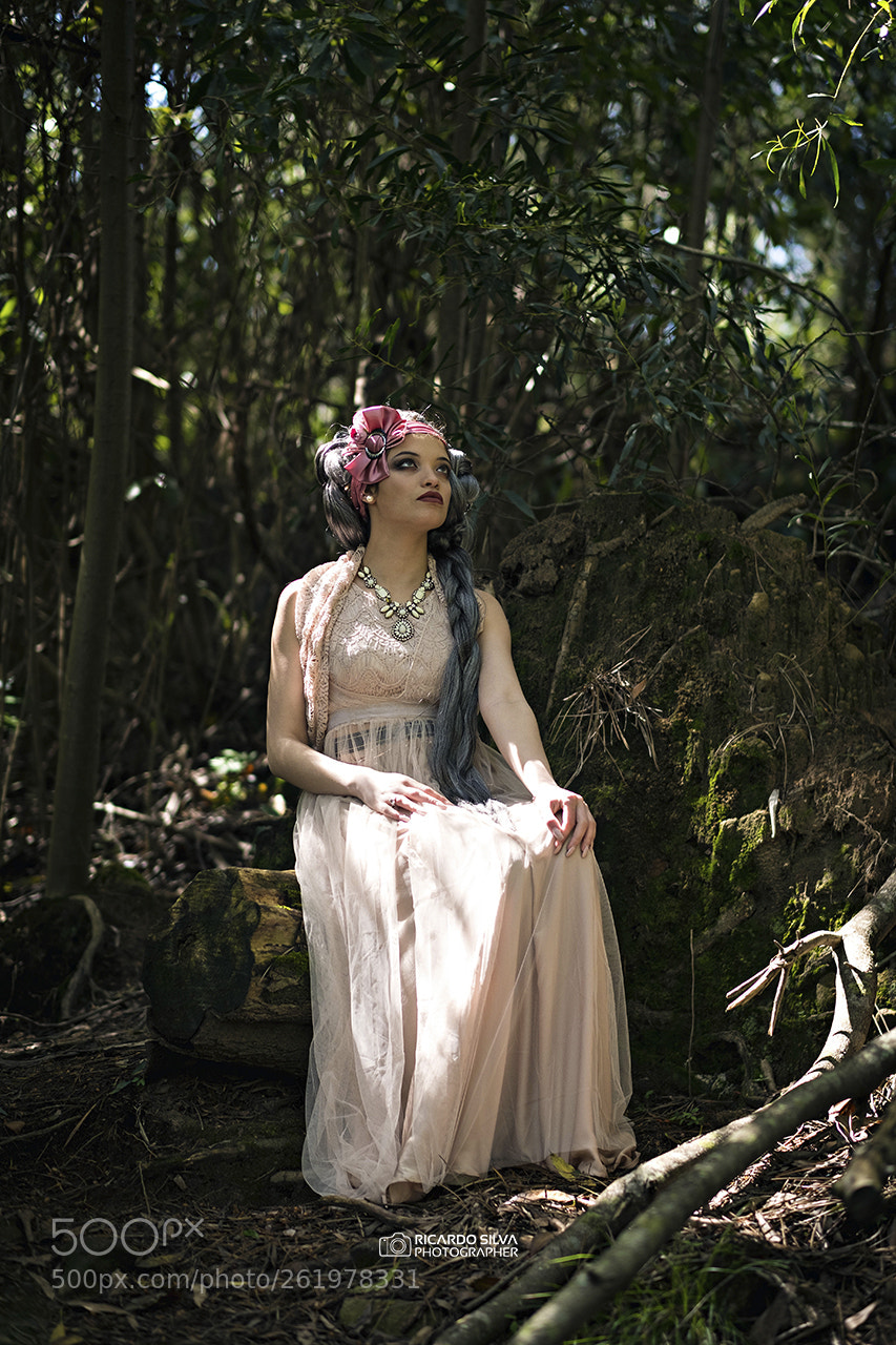 Fujifilm X-T2 sample photo. Enjoying the woods photography