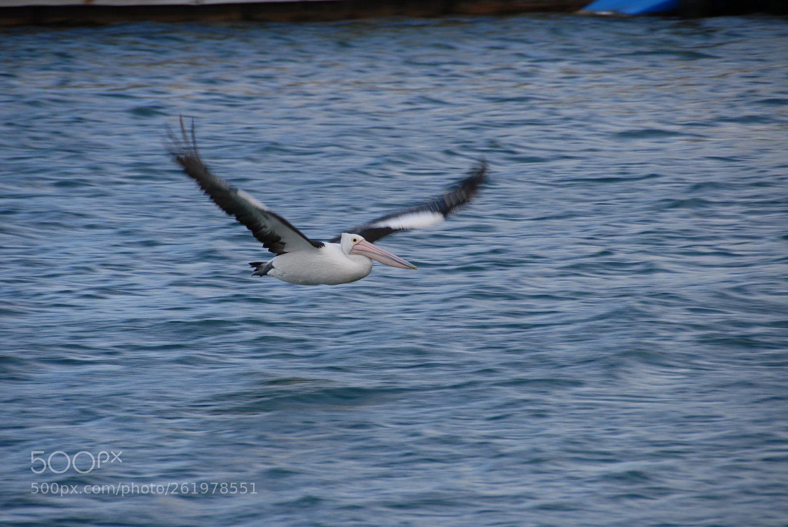Nikon D200 sample photo. In flight photography