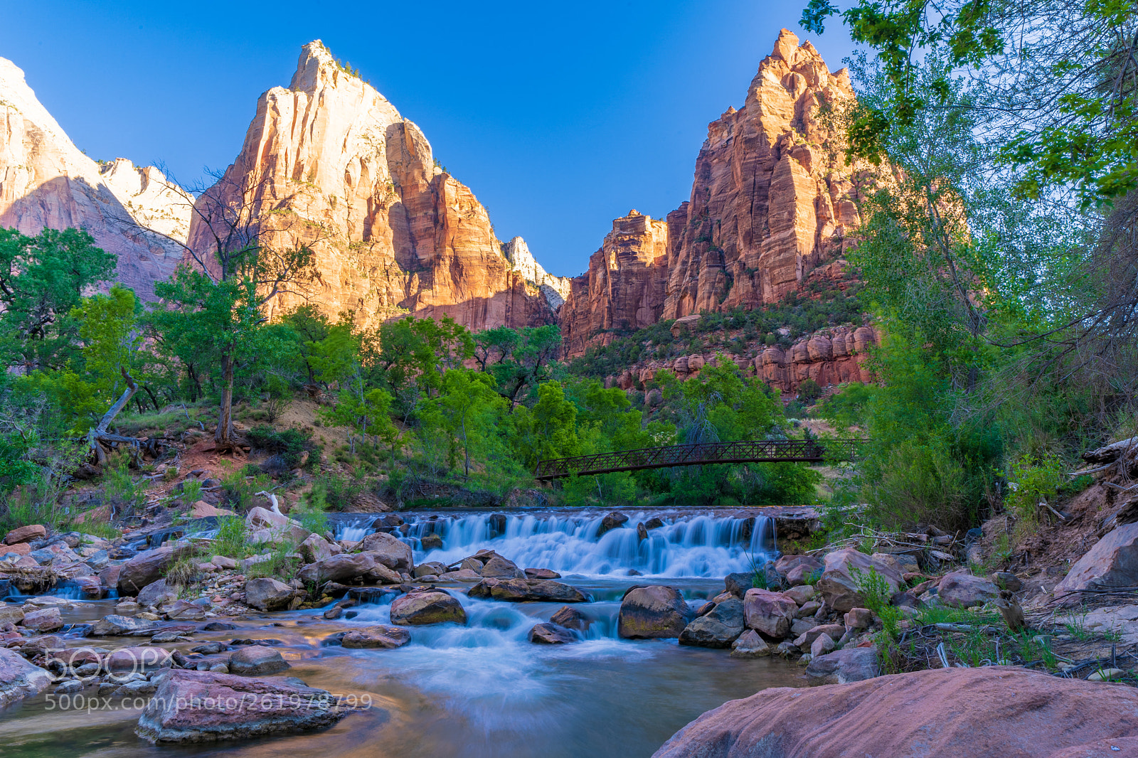 Sony a7 III sample photo. Zion national park photography