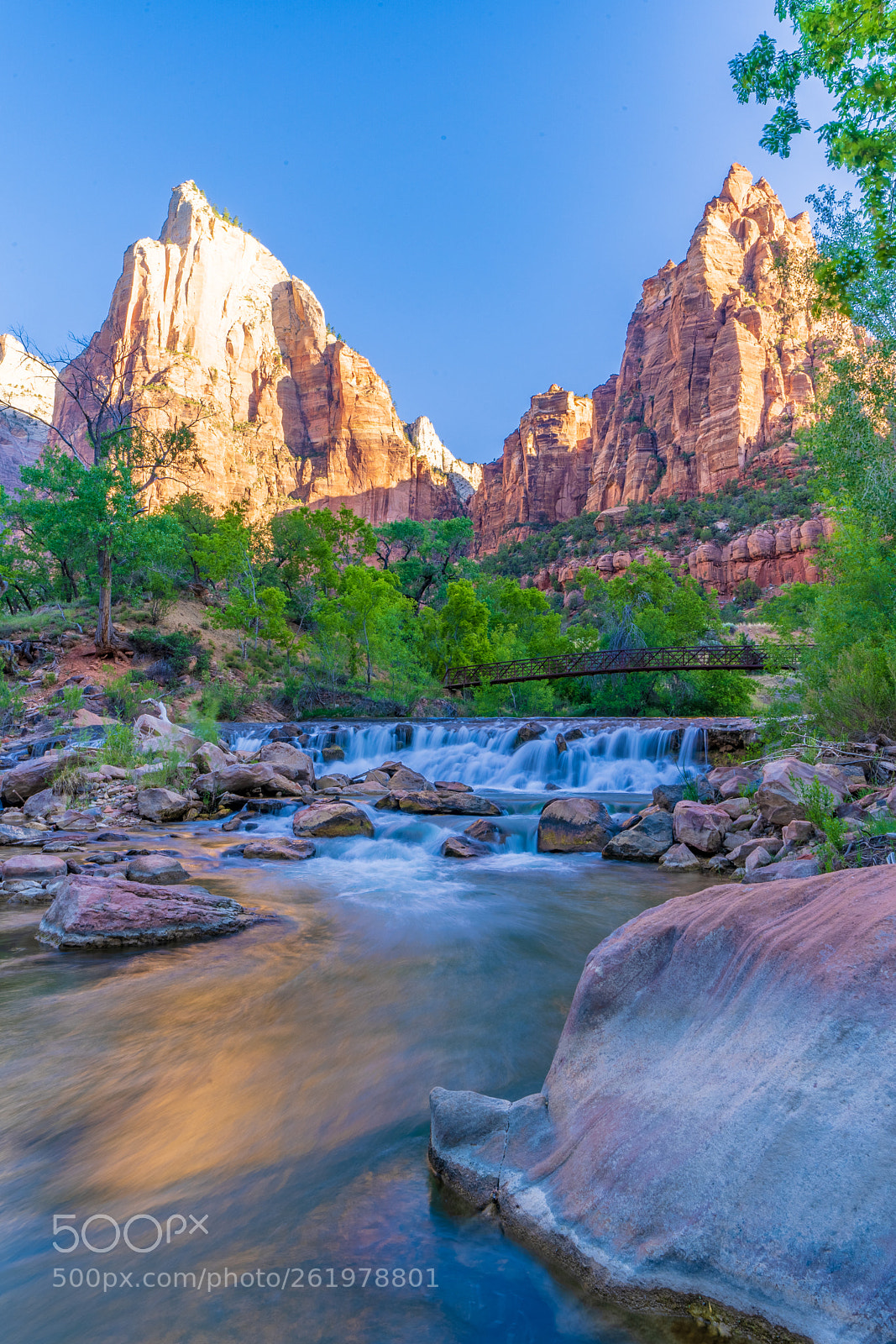 Sony a7 III sample photo. Zion national park photography