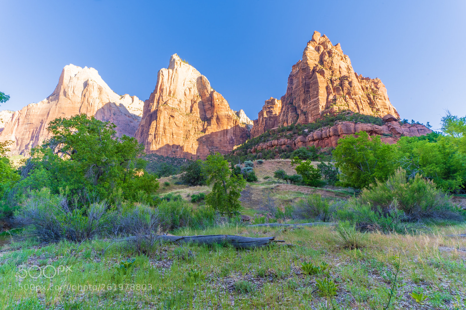 Sony a7 III sample photo. Zion national park photography