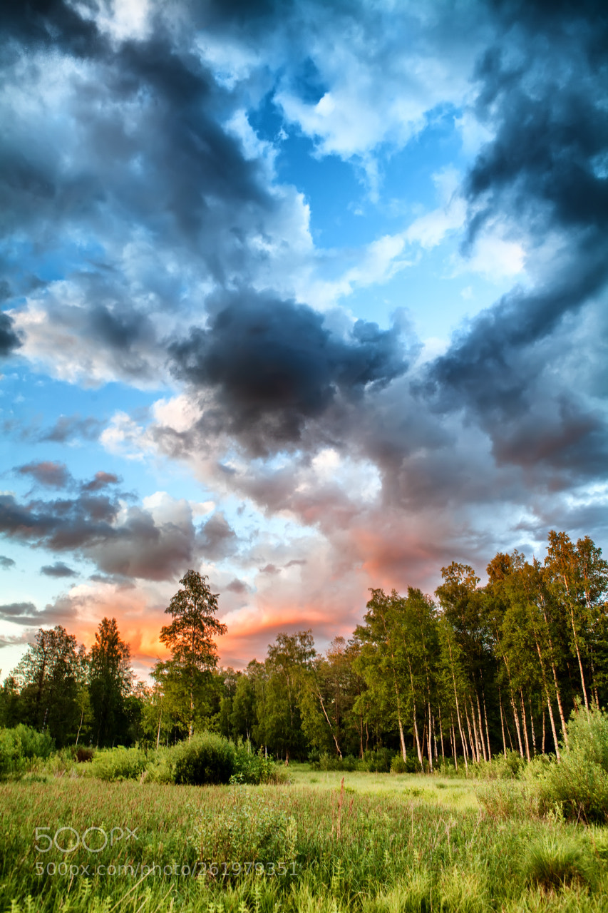 Canon EOS 5D Mark II sample photo. Evening photography