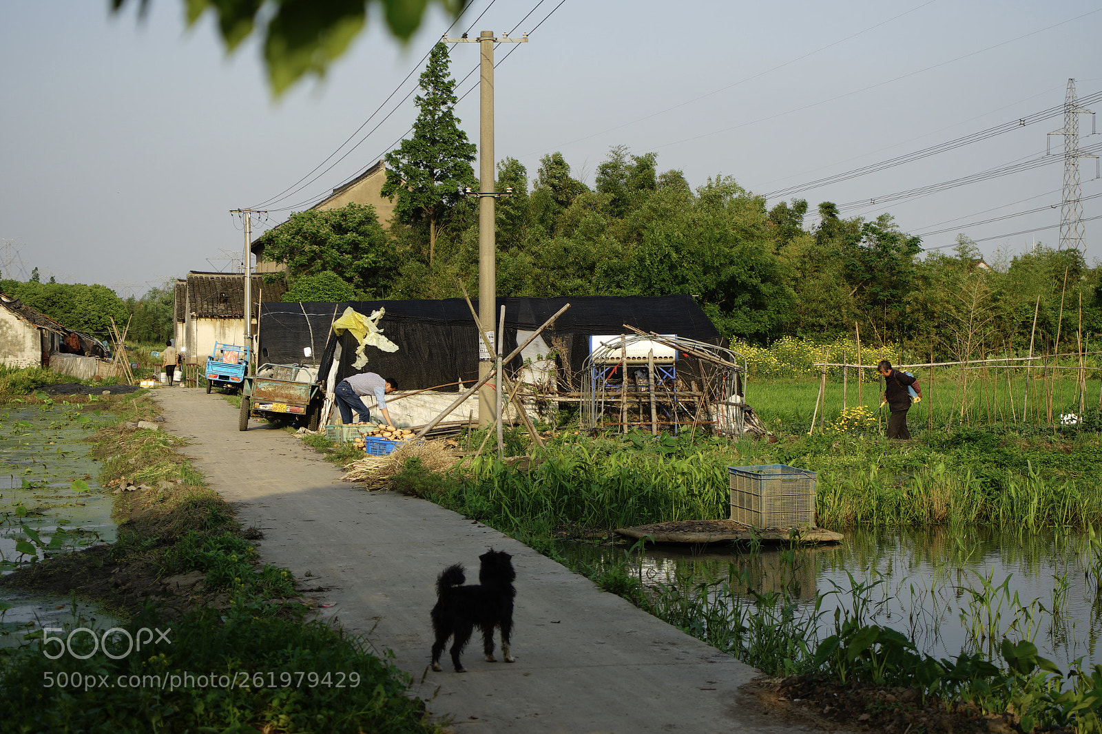 Sony a7 II sample photo. 乡村·黄昏时分 photography