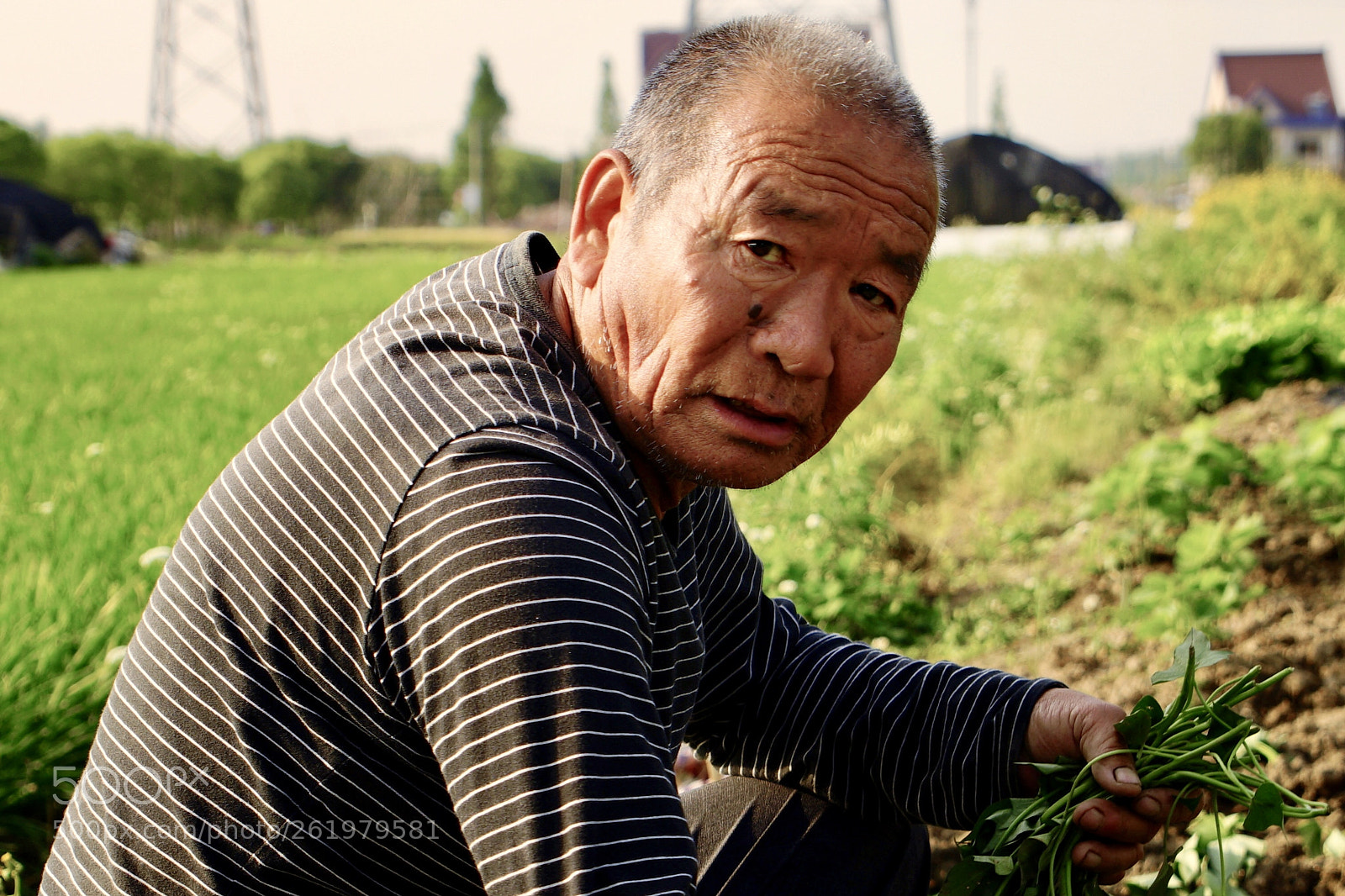 Sony a7 II sample photo. 乡村·黄昏时分2 photography