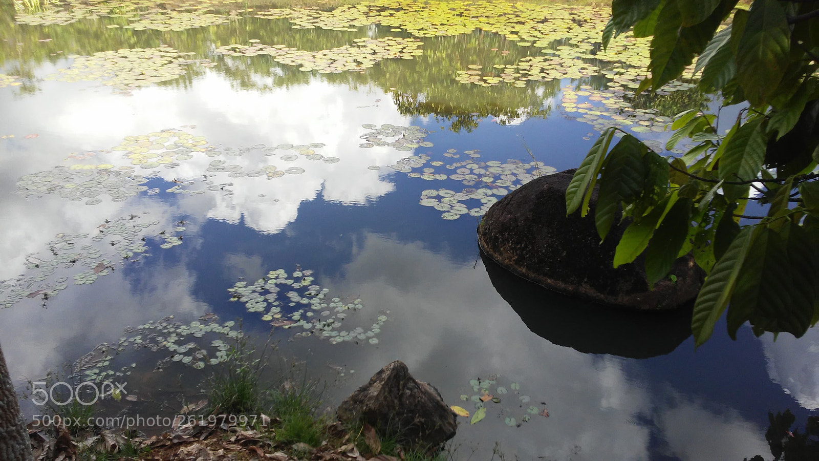LG X STYLE sample photo. Lake side photography