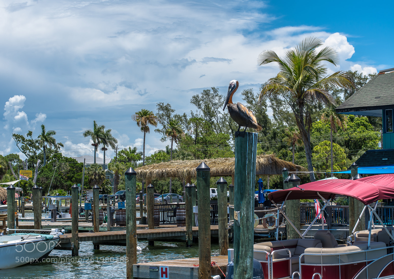 Nikon D7200 sample photo. Muelle de cortez photography