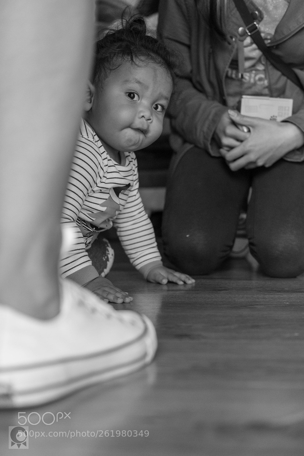 Fujifilm X-T2 sample photo. Curious jace photography