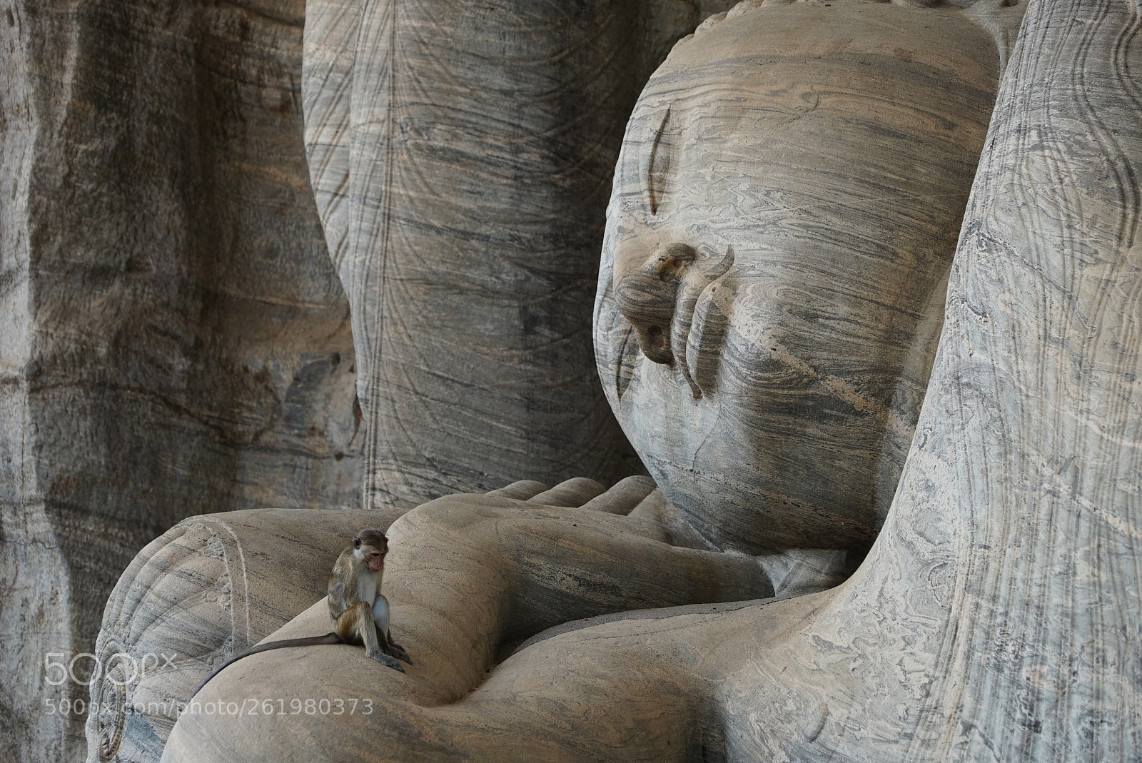 Sony a7S II sample photo. Buddha please help me photography