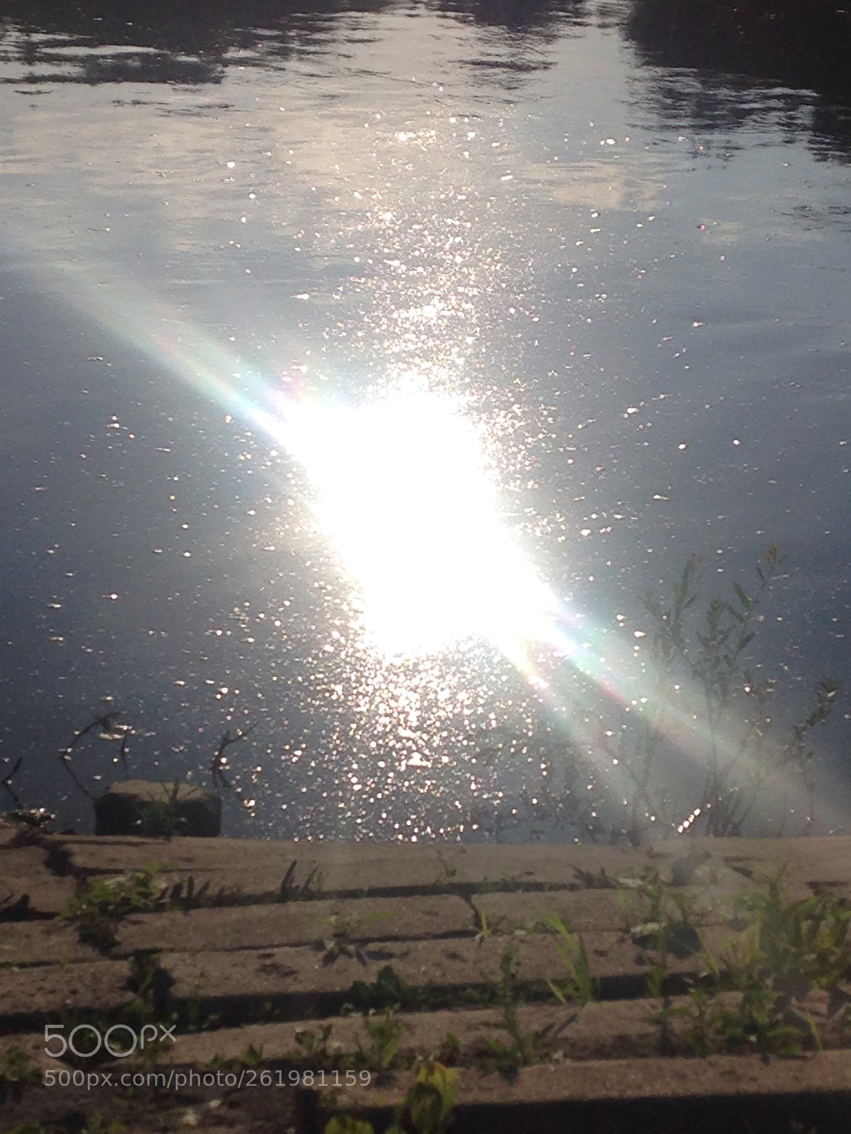 Apple iPhone 5 sample photo. Sunny day photography
