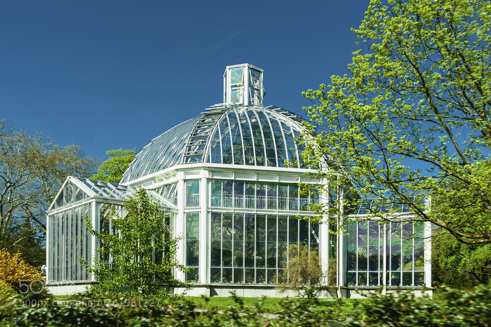 Nikon D700 sample photo. Plant-house, photography