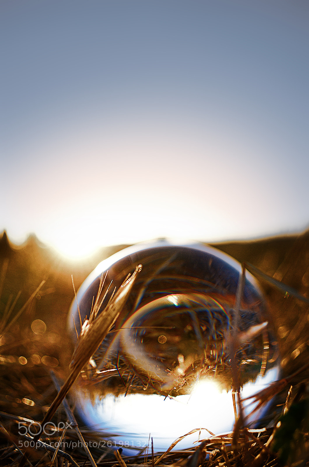 Nikon D5100 sample photo. Rise summer day photography