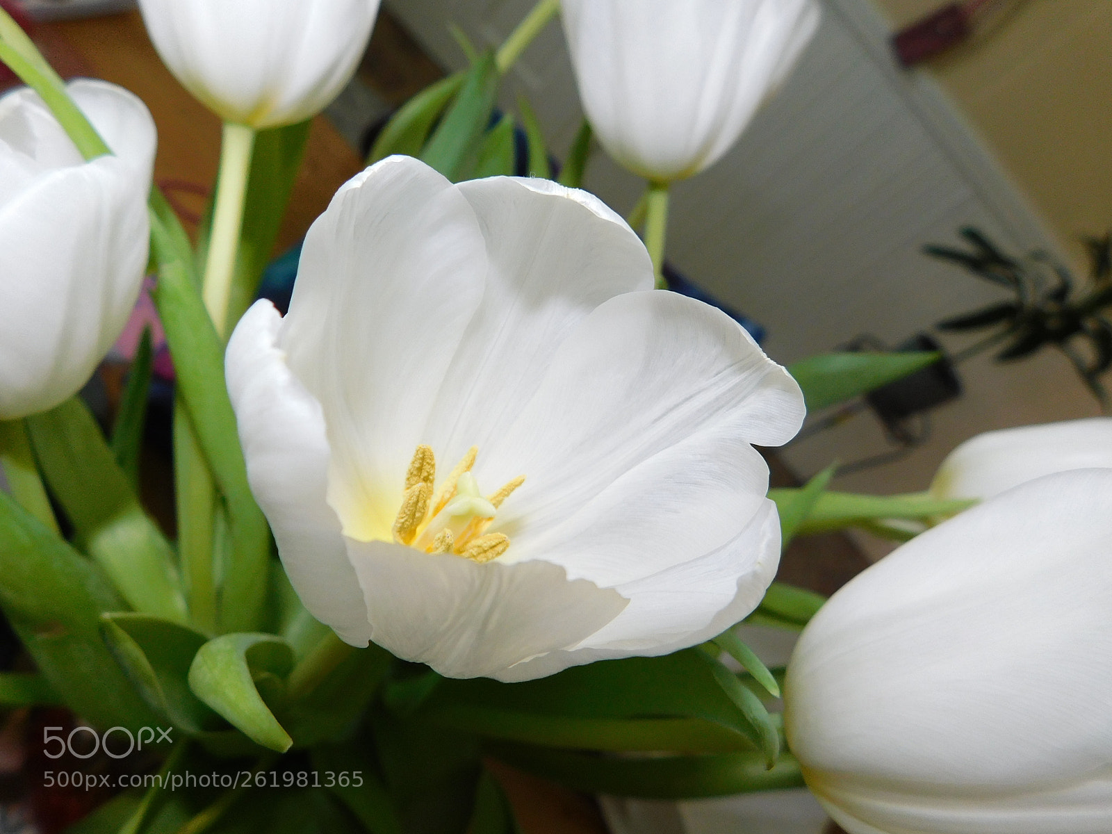 Nikon Coolpix B500 sample photo. Yep photography