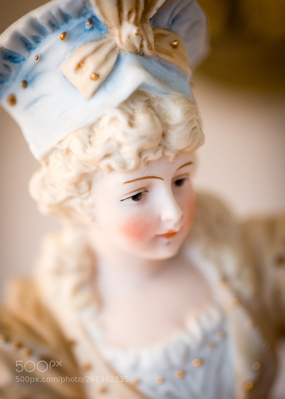 Nikon Df sample photo. Royal doulton photography