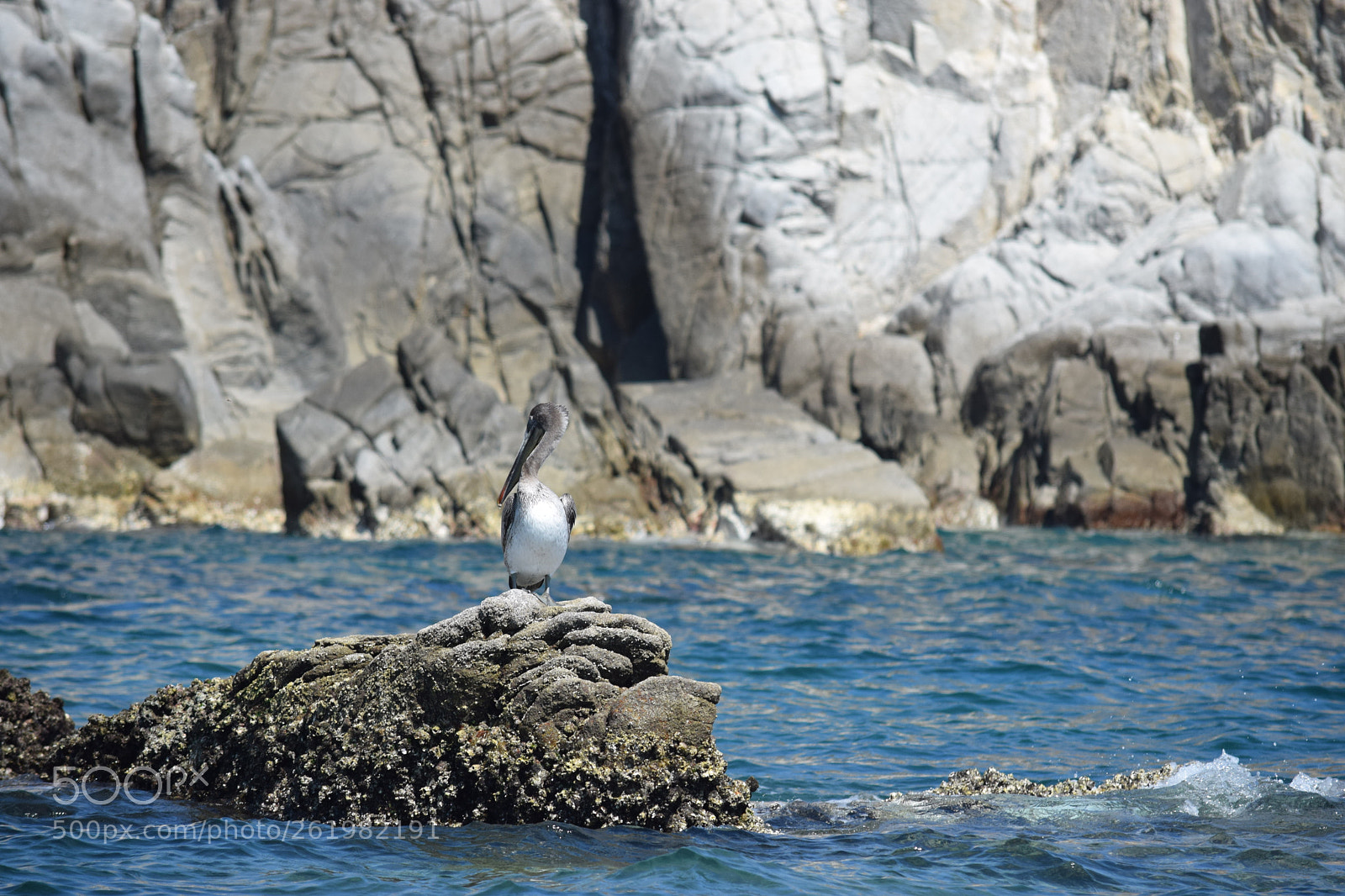 Nikon D5300 sample photo. Tomando sol photography