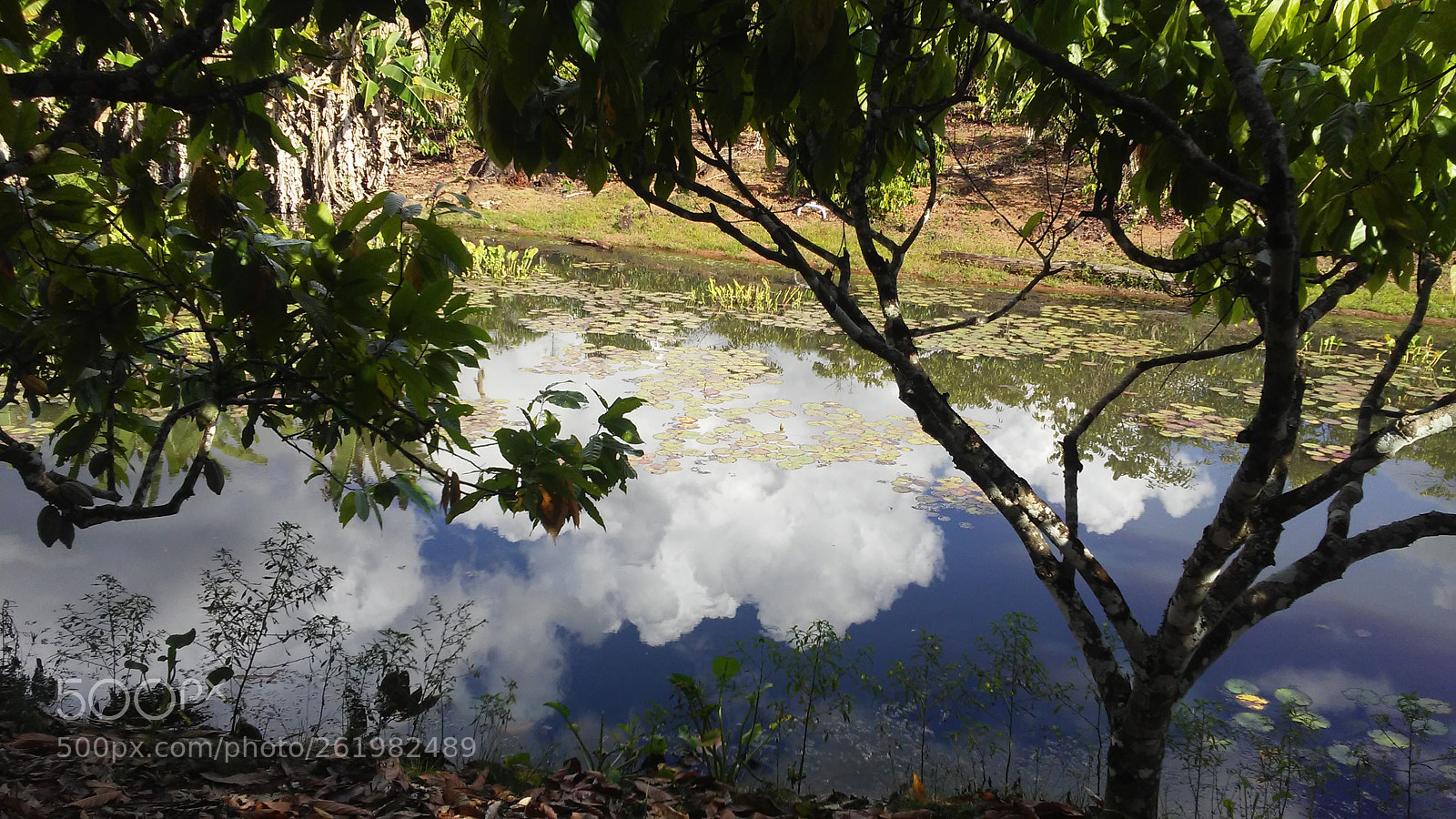 LG X STYLE sample photo. Lakeside.... photography