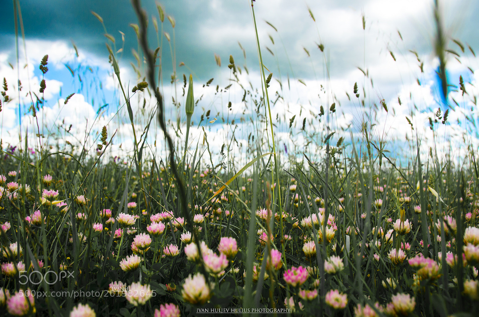 Nikon D5100 sample photo. Sanjiva dolina photography