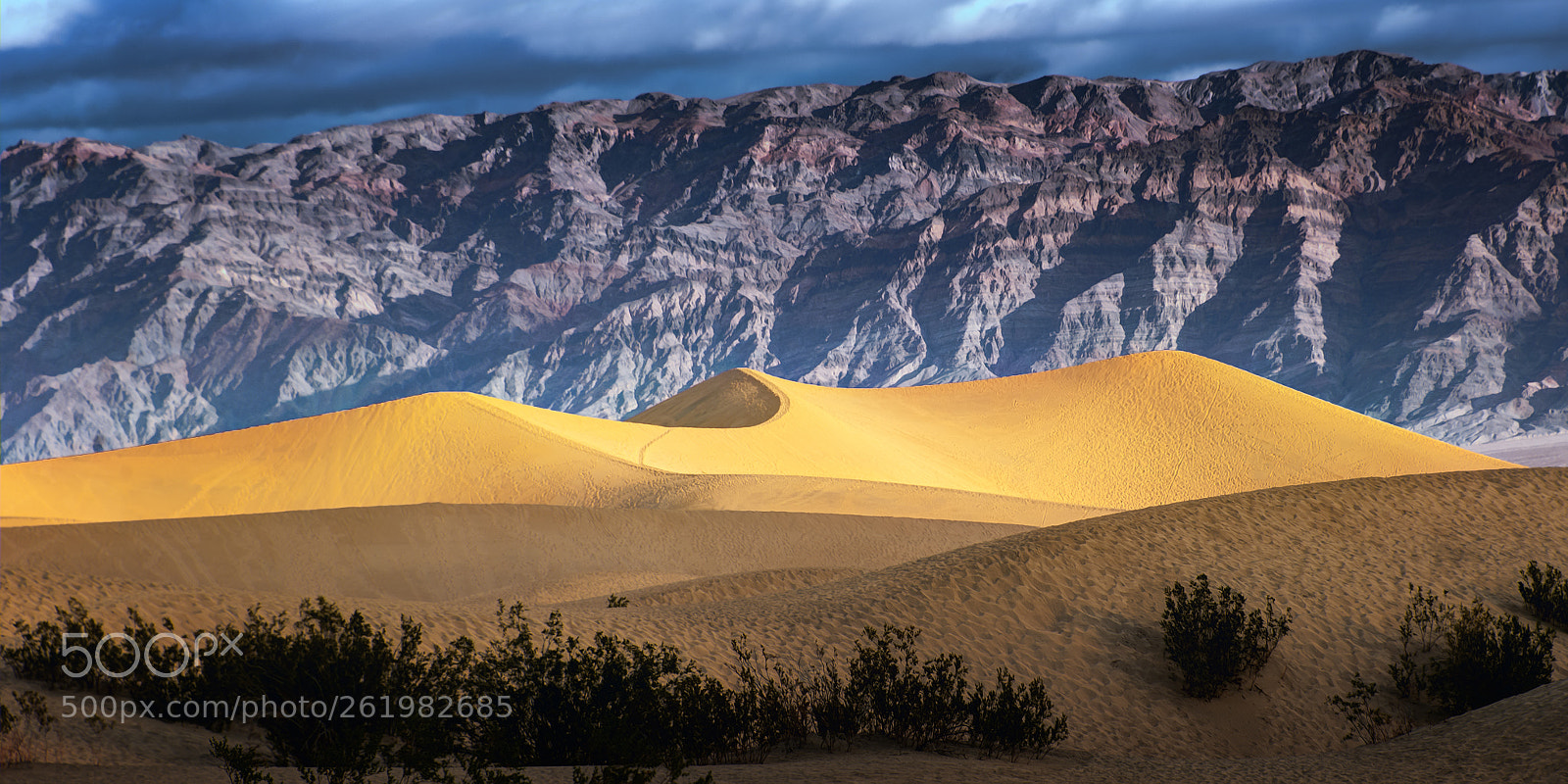 Nikon D610 sample photo. Simplicity photography