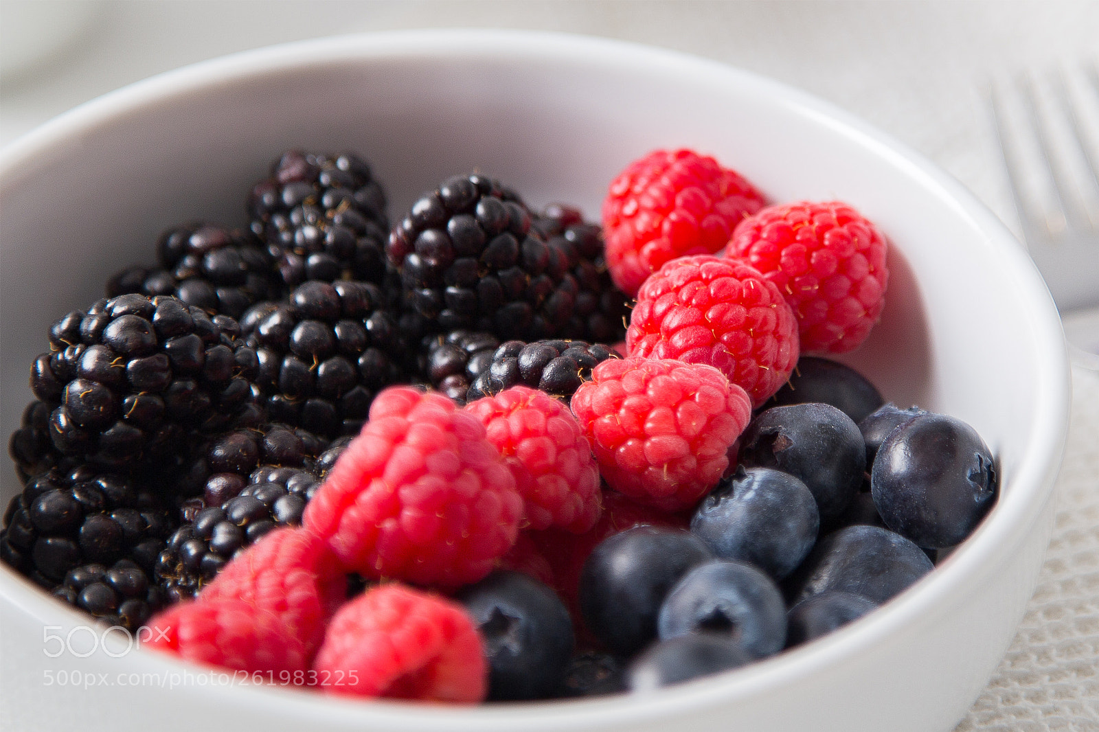 Canon EOS 6D sample photo. Berries photography