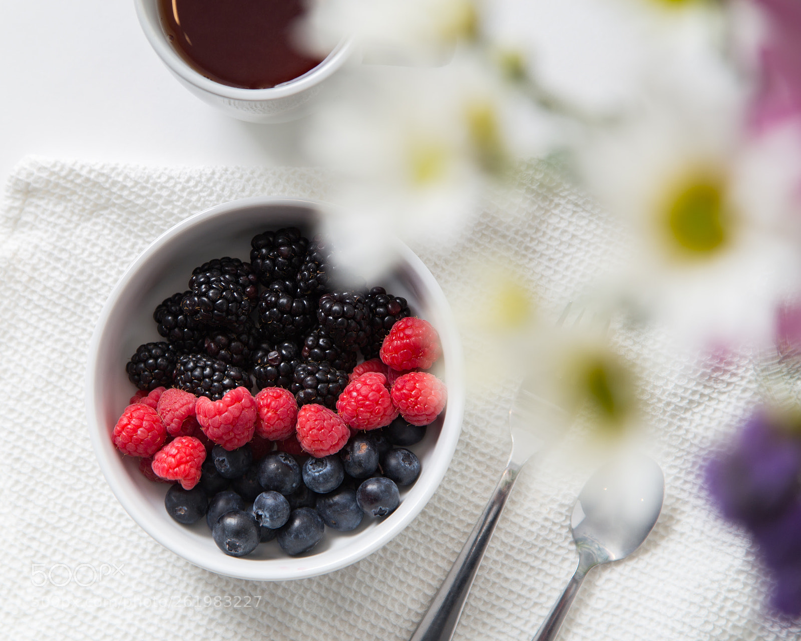 Canon EOS 6D sample photo. Berries and flowers photography