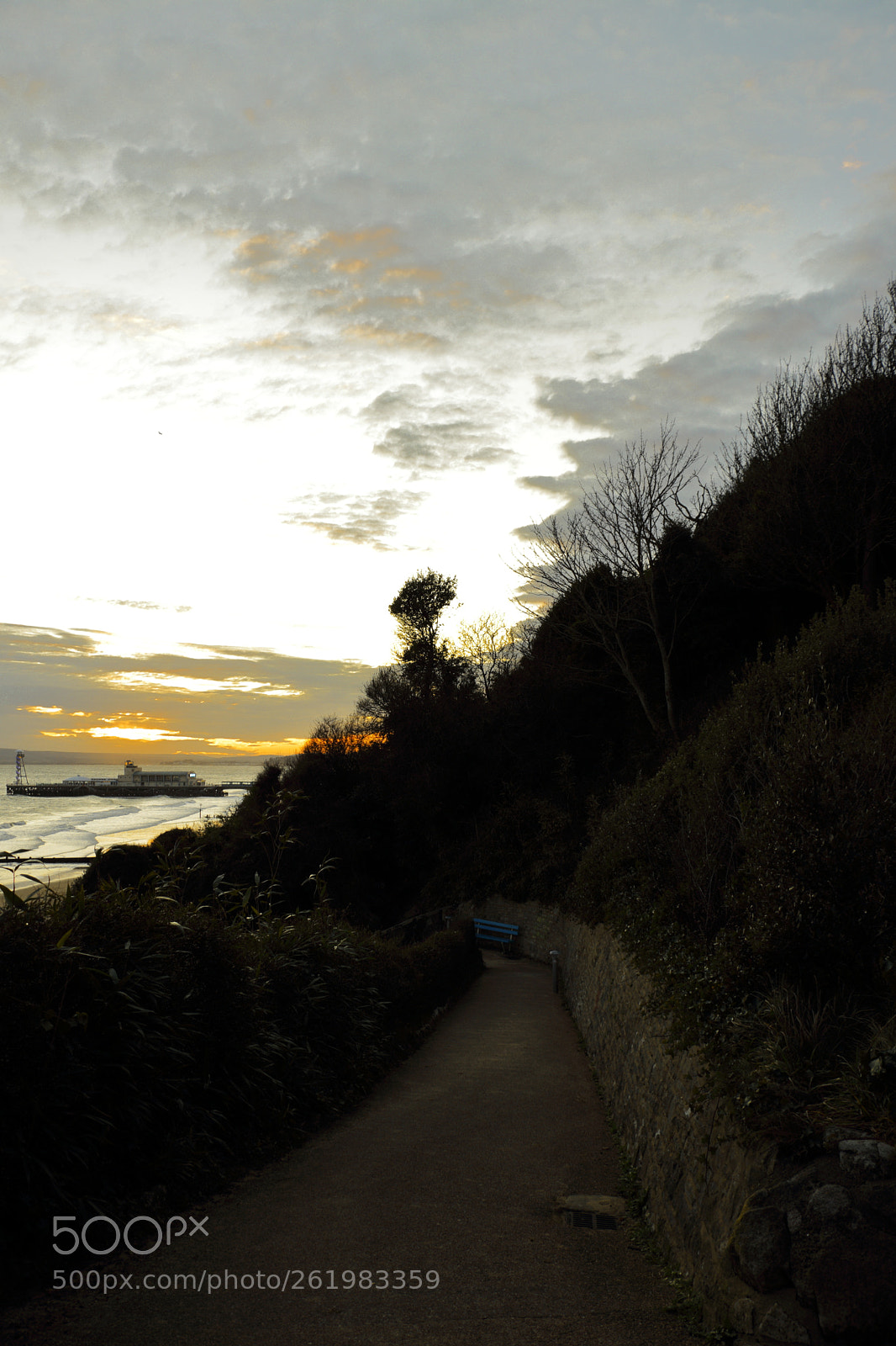 Canon EOS 80D sample photo. Img photography