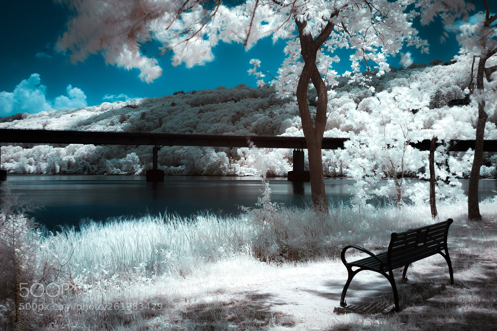 Nikon D70 sample photo. How i now see photography