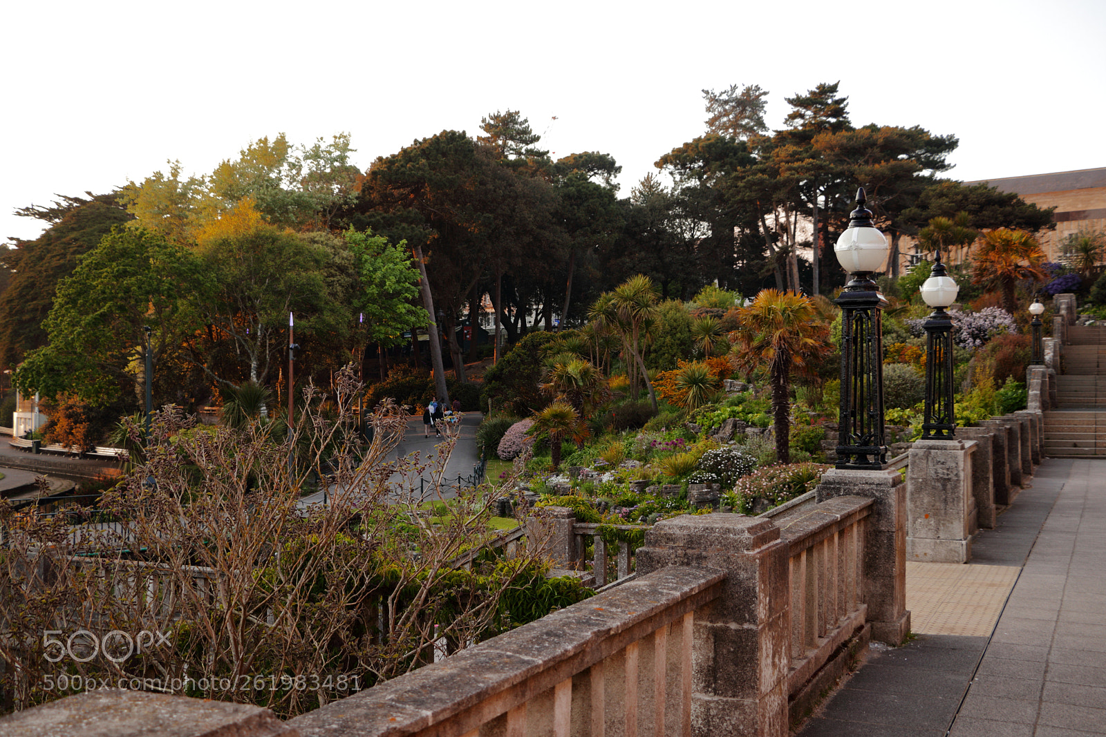 Canon EOS 80D sample photo. Img photography