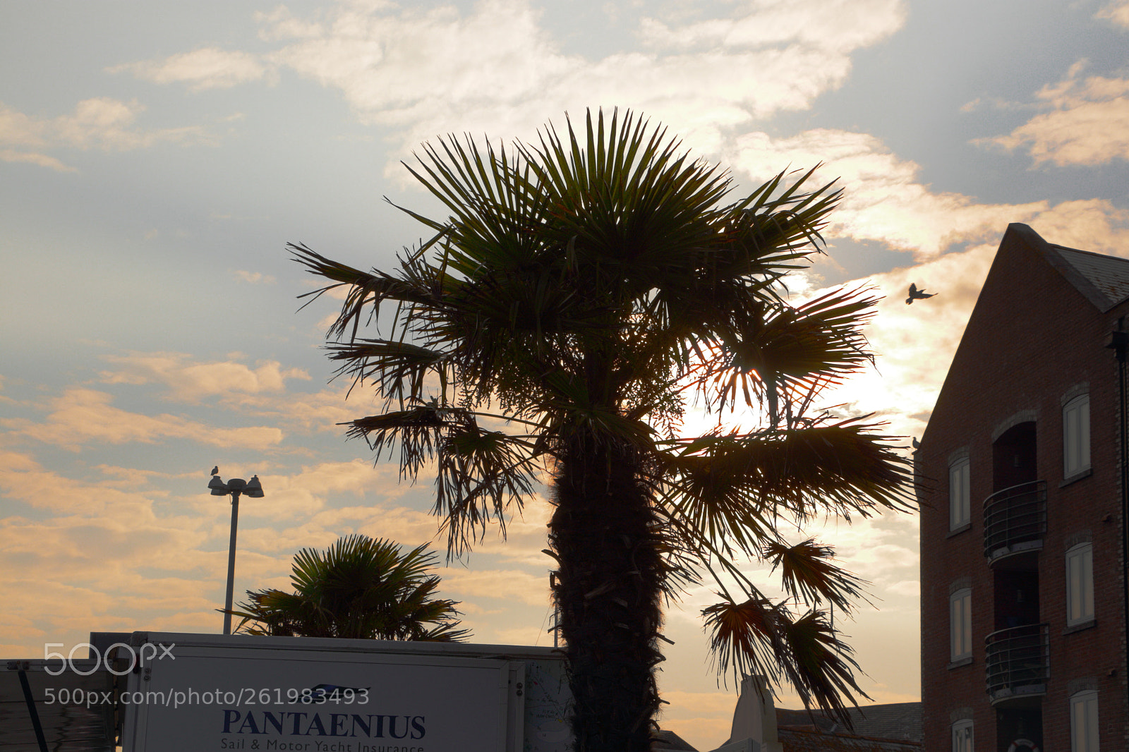 Canon EOS 80D sample photo. Img photography