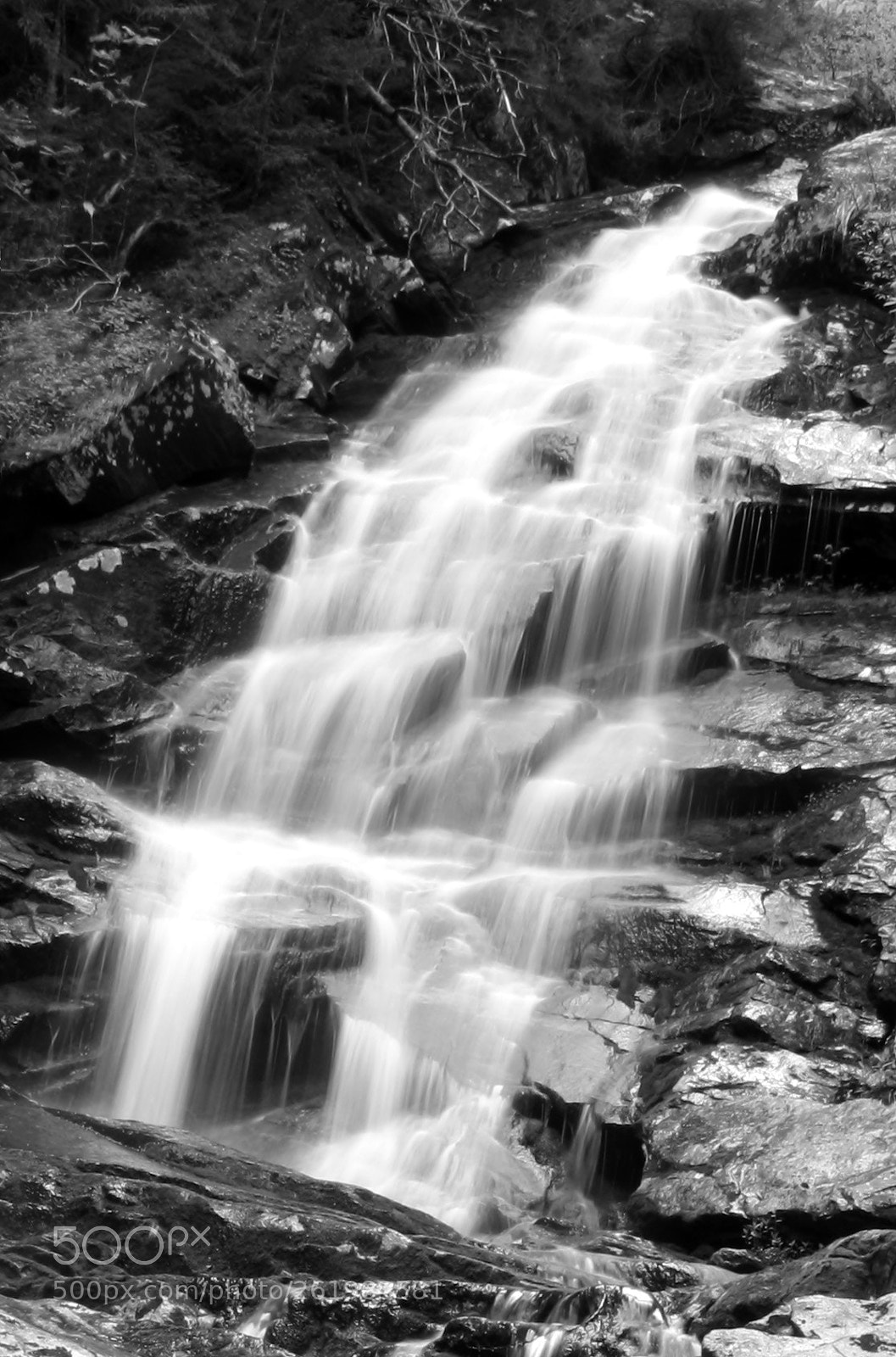 Canon EOS 5D Mark II sample photo. Cascade b&w photography