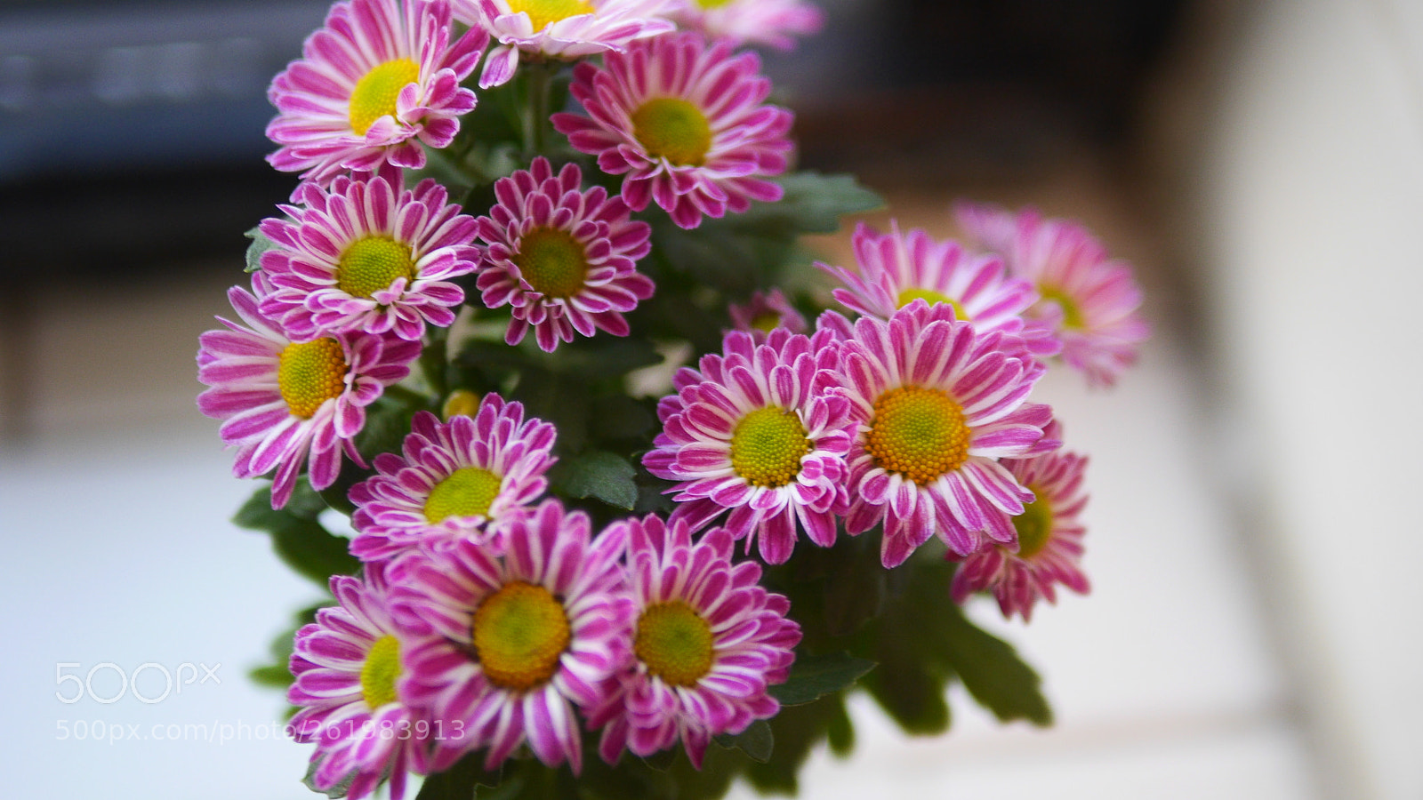 Panasonic Lumix DMC-GH3 sample photo. Lovely photography