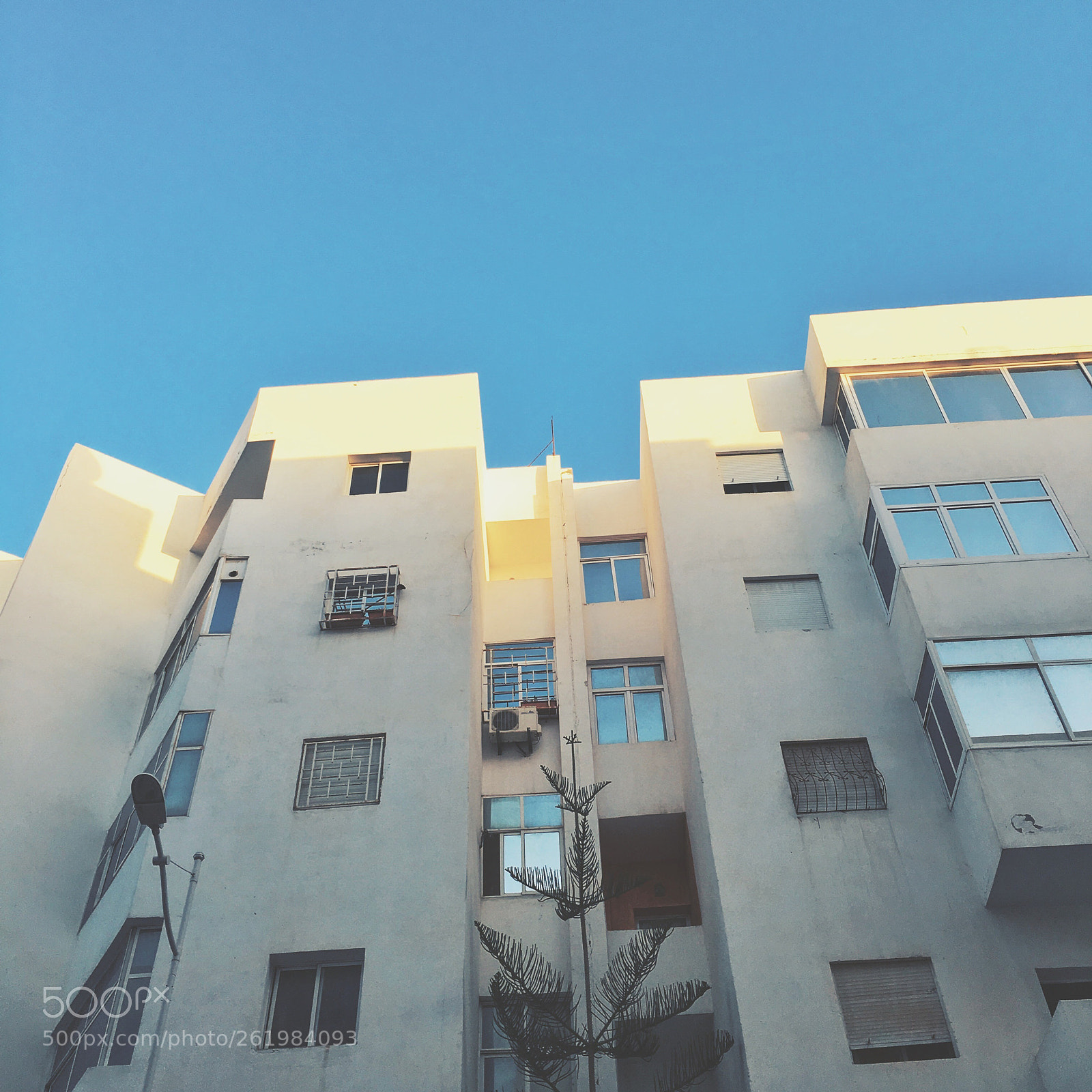 Apple iPhone 6s sample photo. Up photography