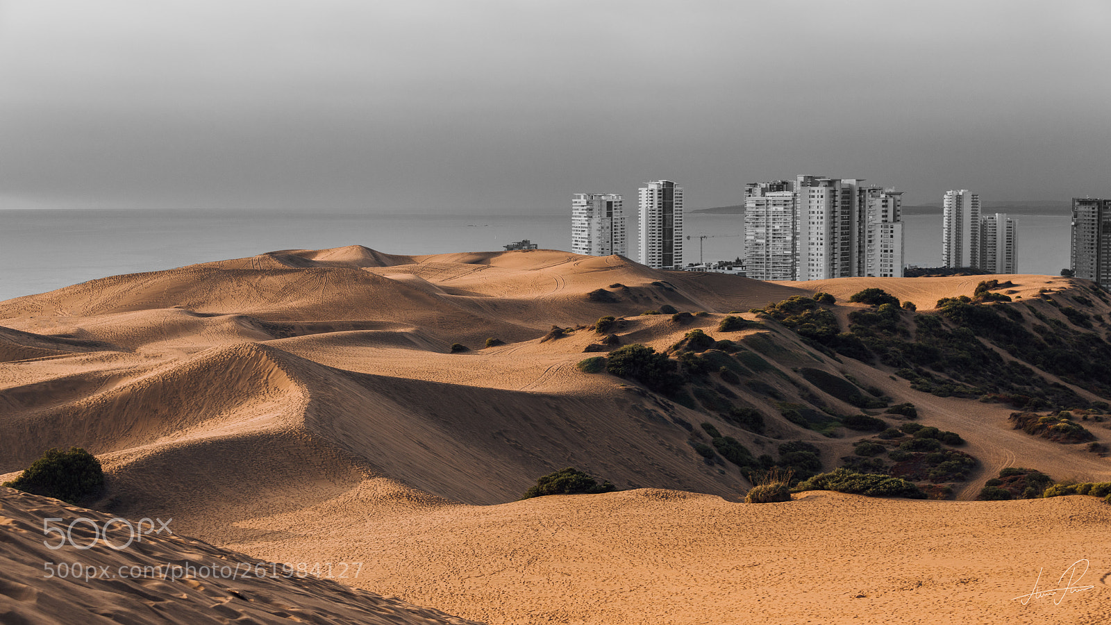 Nikon D850 sample photo. Dunas de concon photography
