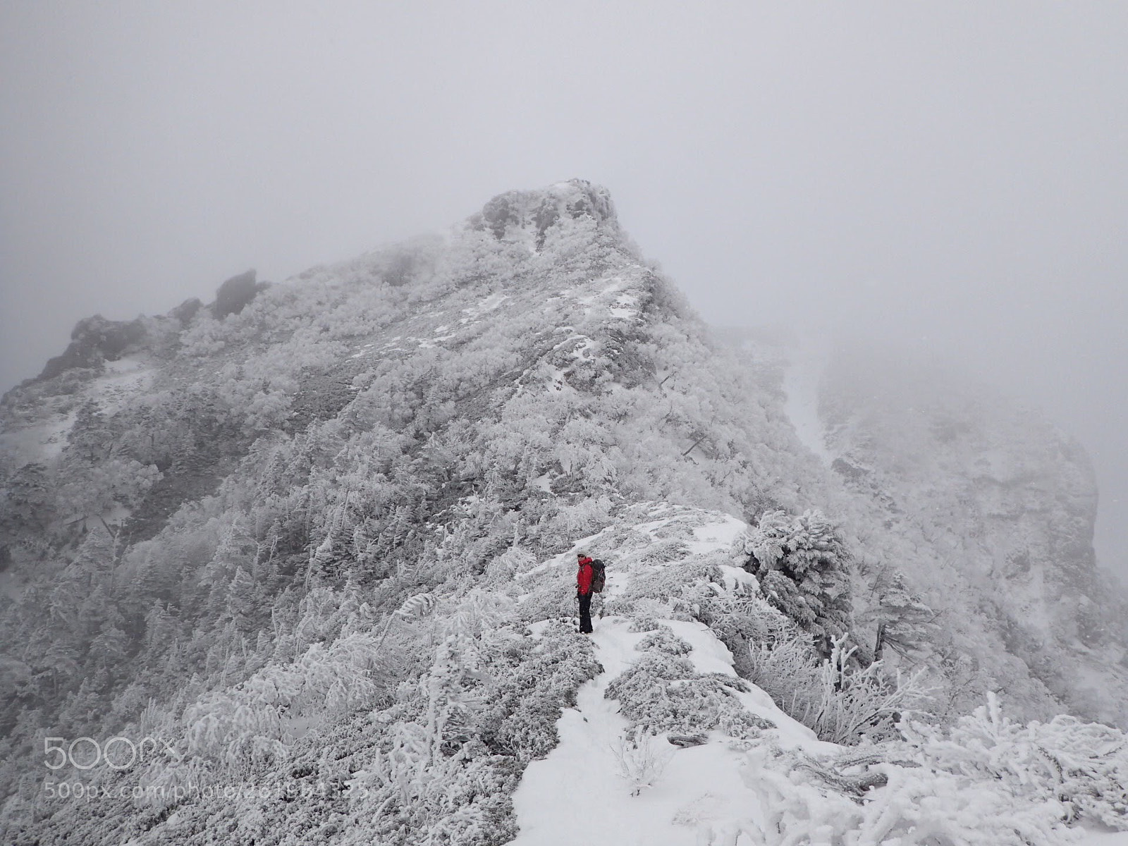 Olympus TG-4 sample photo. Mt.gongen photography