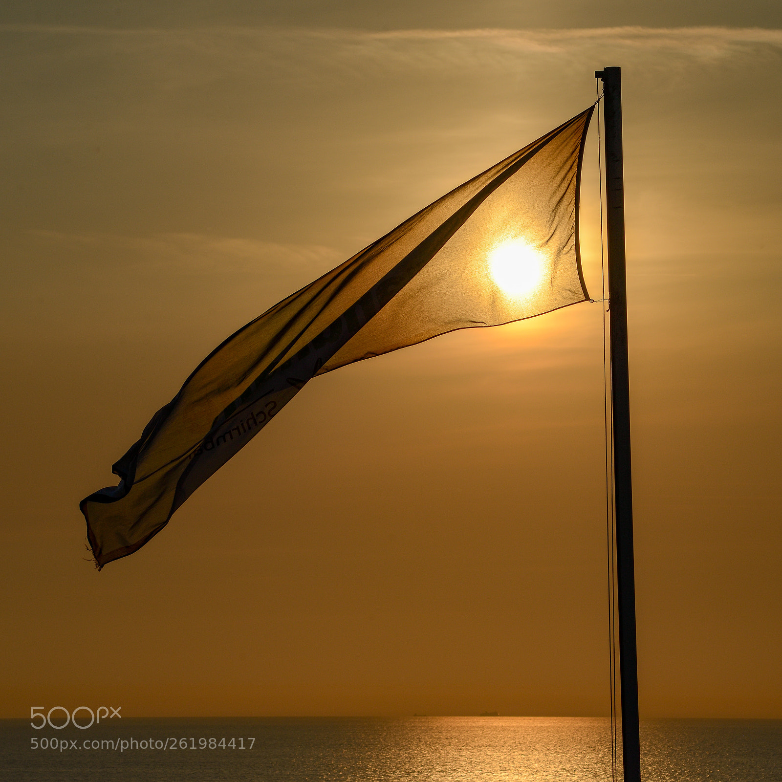 Nikon D800 sample photo. Flag in backlight photography