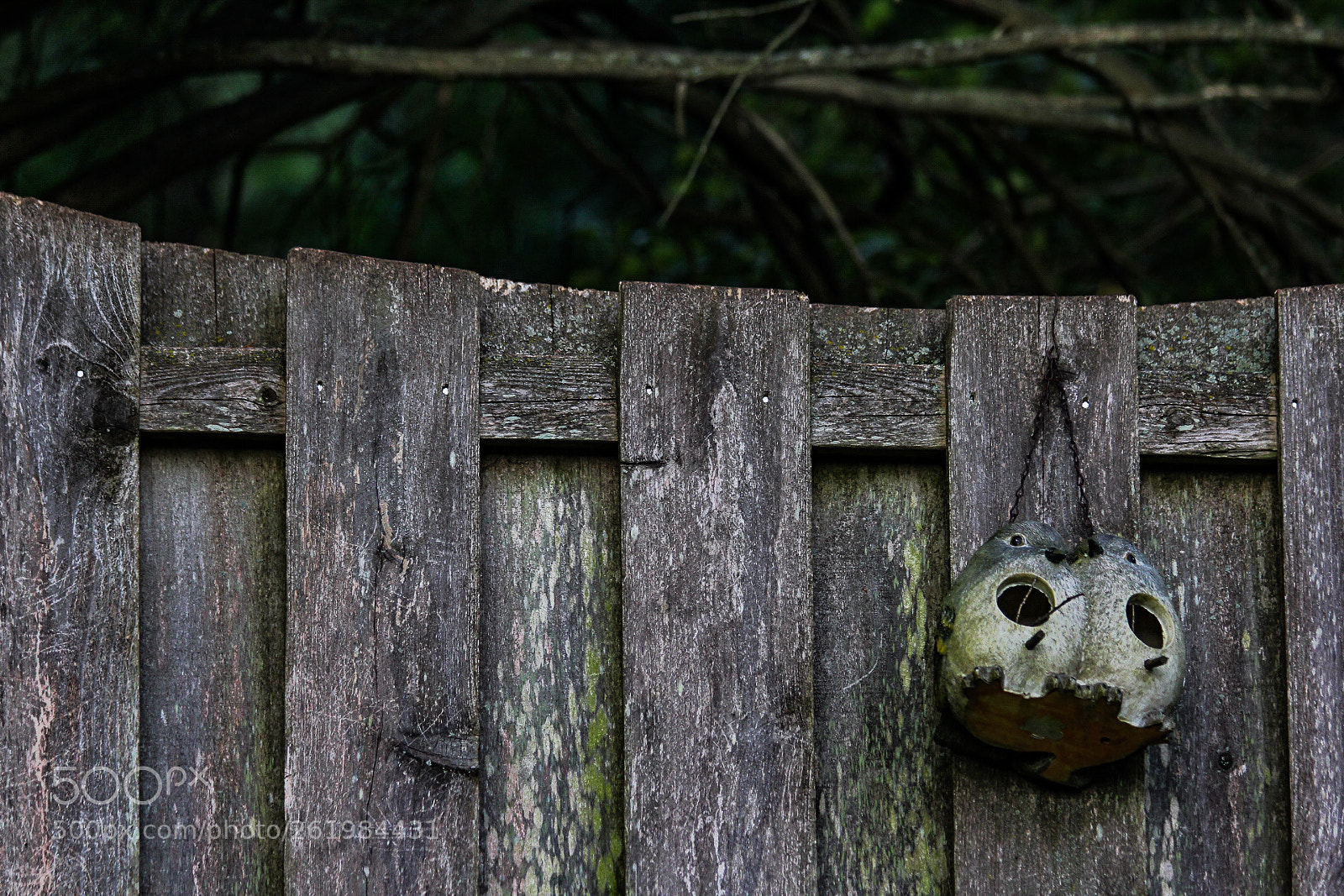 Canon EOS 60D sample photo. Fence photography