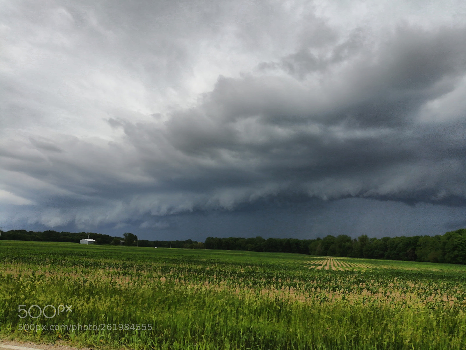 HUAWEI honor 6x sample photo. Storm brew photography