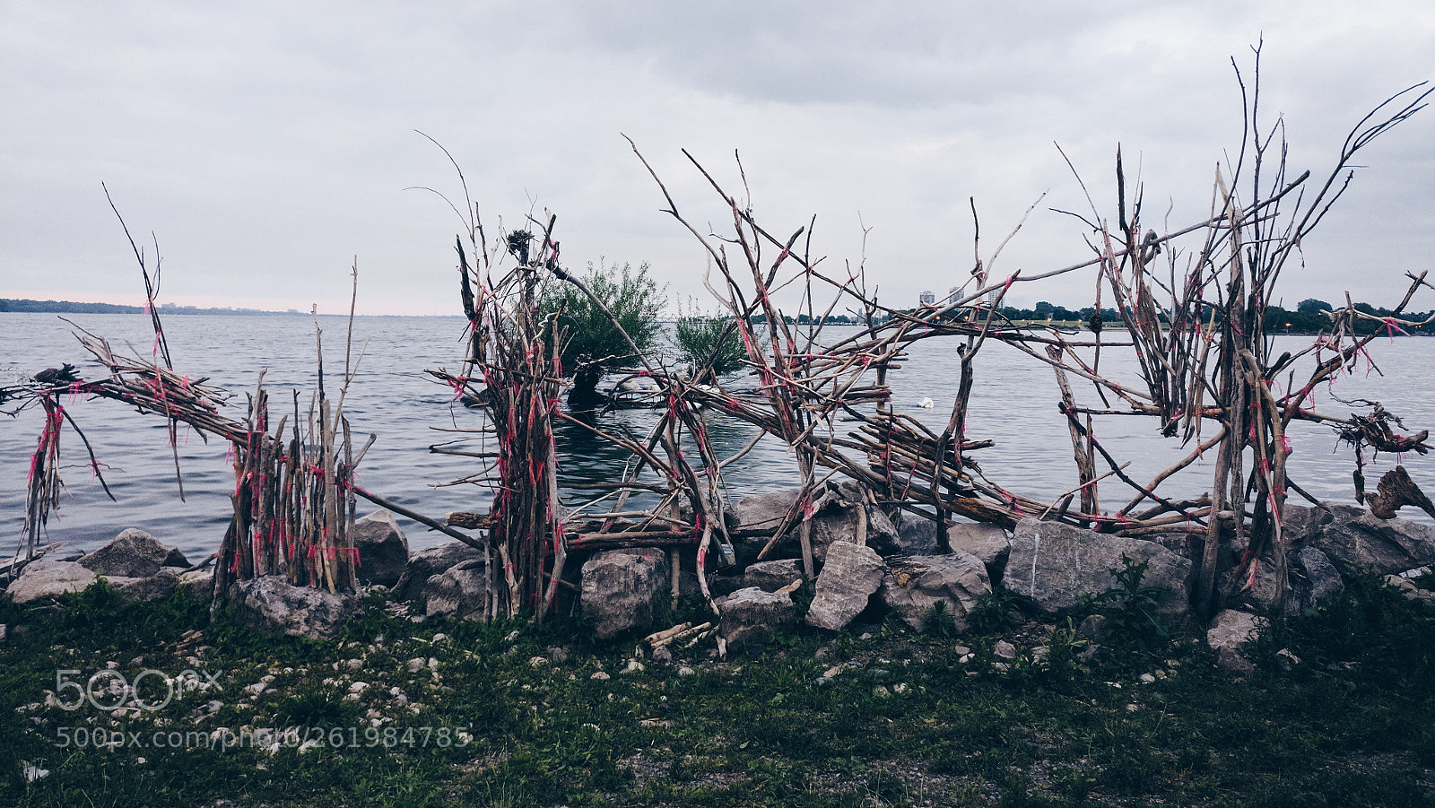 OnePlus A3000 sample photo. Driftwood sculpture photography