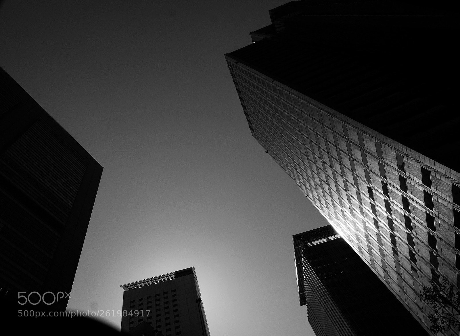 Fujifilm X-Pro2 sample photo. Untitled photography