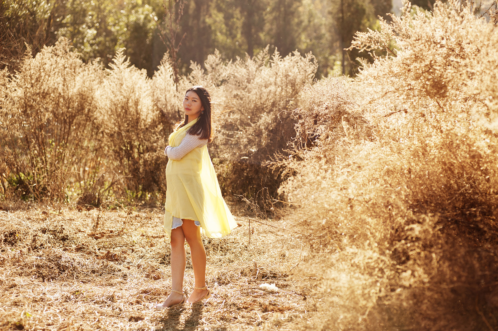 Nikon D700 sample photo. 阳光下 photography