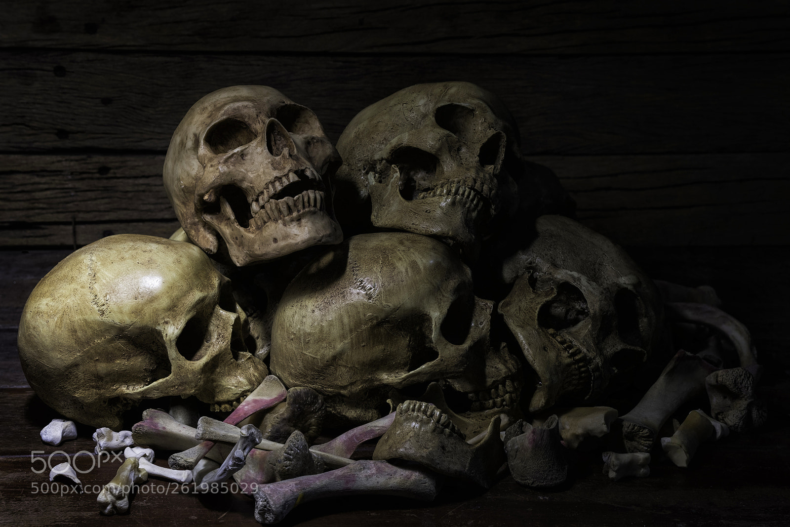 Fujifilm X-T2 sample photo. Skulls on pile straw photography