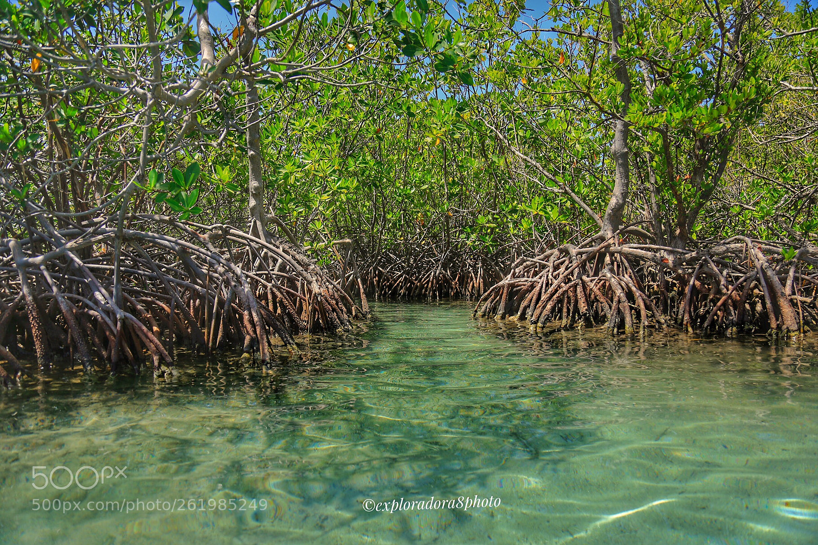 Canon EOS 6D sample photo. Cayo aurora photography